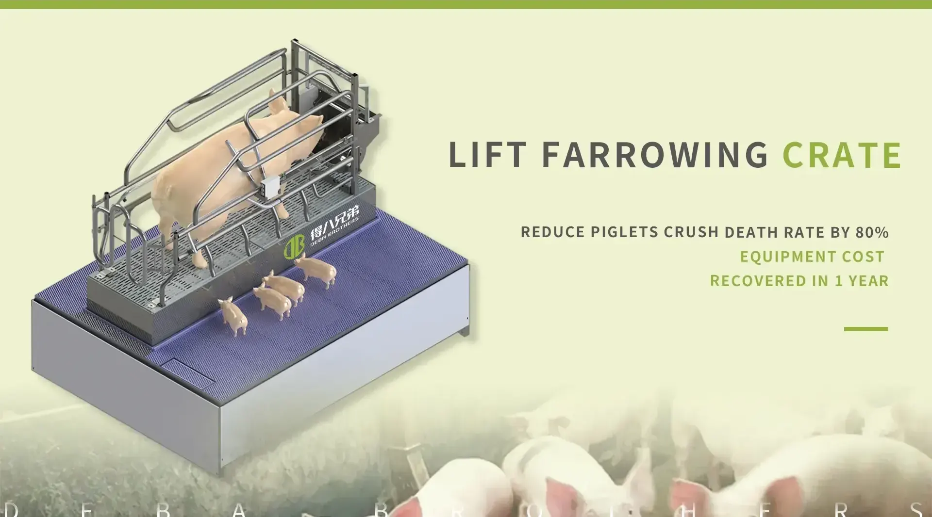 တရုတ် Lift Farrowing Crate စက်ရုံ