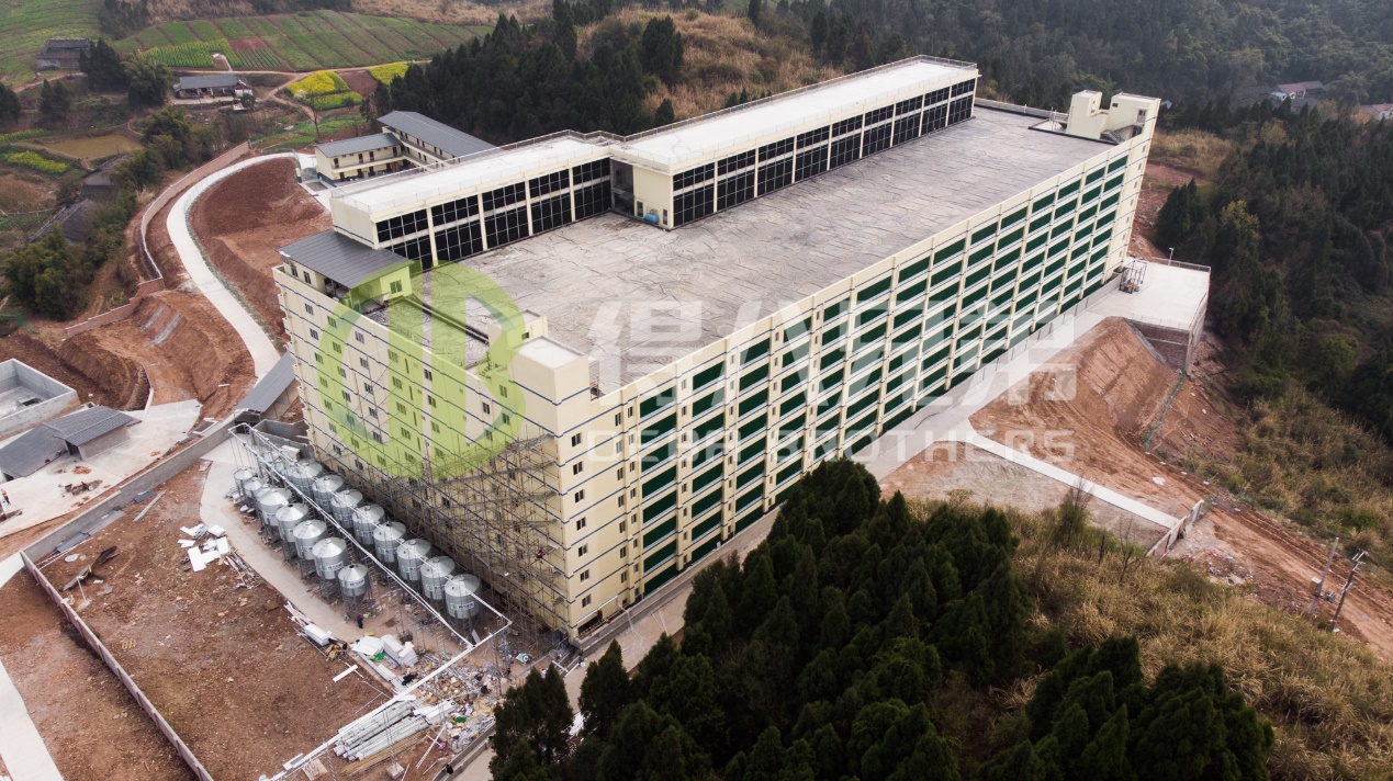 ခေတ်မီဝက်မွေးမြူရေးပုံစံဒီဇိုင်းတွင် ပတ်ဝန်းကျင်အရည်အသွေးကို မြှင့်တင်နည်း