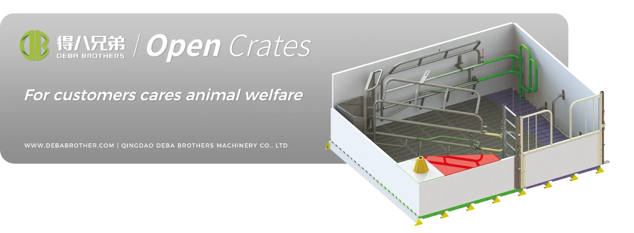 DEBA Brothers အဖွင့်ကြဲခင်းကို ၎င်း၏အသုံးပြုရလွယ်ကူသောဒီဇိုင်းအတွက် ကမ္ဘာတစ်ဝှမ်းမှ အသိအမှတ်ပြုခံရပါသည်။