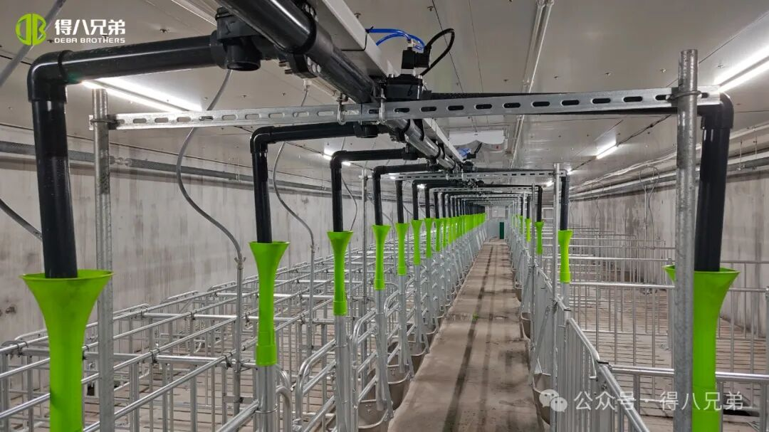 Deba Brother Licha Black Pig မွေးမြူခြင်းနှင့် စိုက်ပျိုးခြင်း သရုပ်ပြအခြေစိုက်စခန်း - မျိုးစေ့ပေါင်း ၂၀၀၀၊ နှစ်စဉ် သတ်ဖြတ်ခြင်း ၅၀၀၀၀၊ စတုရန်းမီတာ ၆၇၀၀၀၊