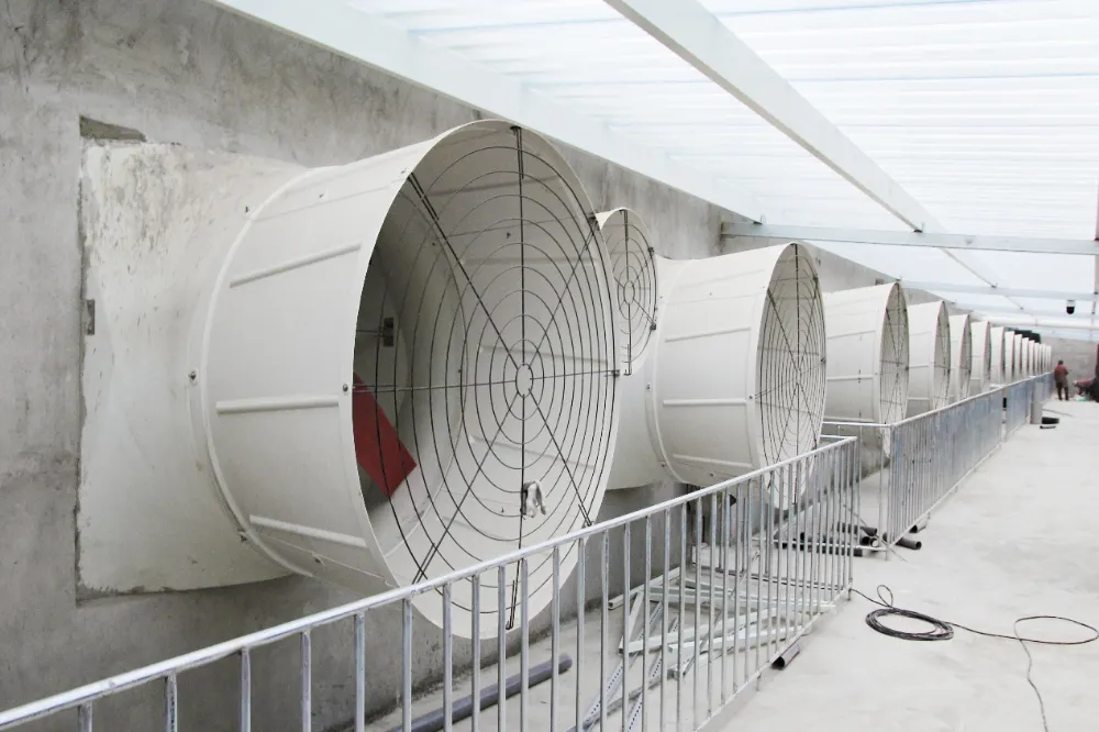 Intelligent Climate Control သည် ကြီးမားသော ဝက်မွေးမြူရေးခြံ အဆင့်မြှင့်တင်မှုများတွင် ရေပန်းစားသော လမ်းကြောင်းတစ်ခု ဖြစ်လာသည်။